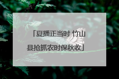 夏播正当时 竹山县抢抓农时保秋收