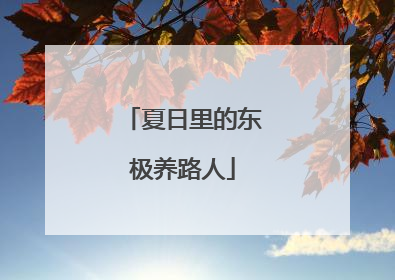 夏日里的东极养路人
