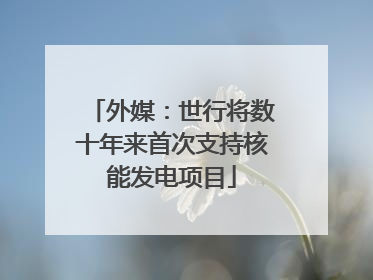 外媒：世行将数十年来首次支持核能发电项目