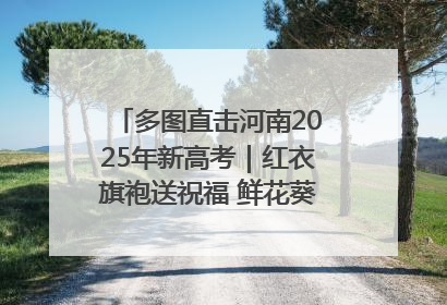 多图直击河南2025年新高考｜红衣旗袍送祝福 鲜花葵花助梦圆——尉氏县高考暖心送考