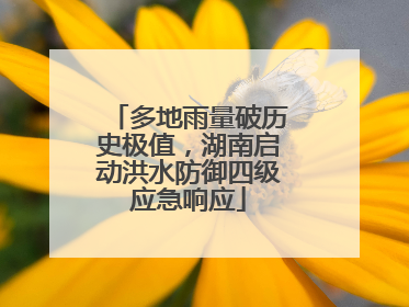 多地雨量破历史极值，湖南启动洪水防御四级应急响应