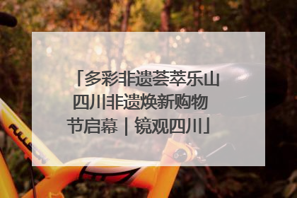 多彩非遗荟萃乐山 四川非遗焕新购物节启幕｜镜观四川