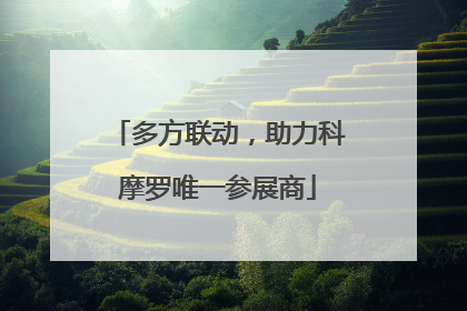 多方联动，助力科摩罗唯一参展商