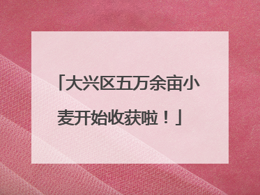 大兴区五万余亩小麦开始收获啦！