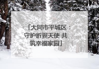 大同市平城区：守护折翼天使 共筑幸福家园