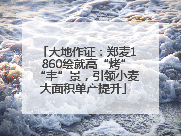 大地作证：郑麦1860绘就高“烤”“丰”景，引领小麦大面积单产提升