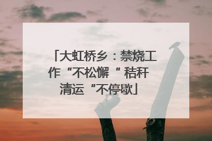 大虹桥乡：禁烧工作“不松懈“ 秸秆清运“不停歇