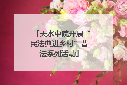 天水中院开展“民法典进乡村”普法系列活动