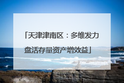 天津津南区：多维发力盘活存量资产增效益