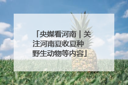 央媒看河南｜关注河南夏收夏种 野生动物等内容