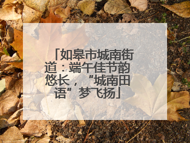 如皋市城南街道：端午佳节韵悠长，“城南田语”梦飞扬
