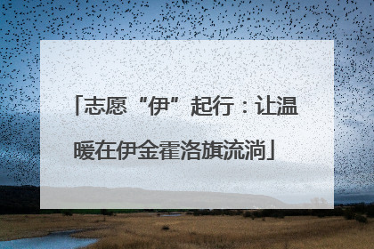 志愿“伊”起行：让温暖在伊金霍洛旗流淌