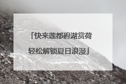 快来莲都碧湖赏荷 轻松解锁夏日浪漫