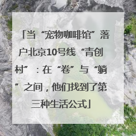 当“宠物咖啡馆”落户北京10号线“青创村”：在“卷”与“躺”之间，他们找到了第三种生活公式