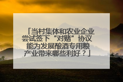 当村集体和农业企业尝试签下“对赌”协议 能为发展酿酒专用粮产业带来哪些利好？