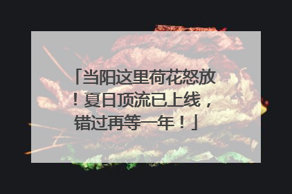 当阳这里荷花怒放！夏日顶流已上线，错过再等一年！