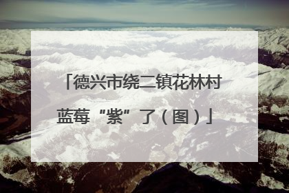 德兴市绕二镇花林村蓝莓“紫”了（图）