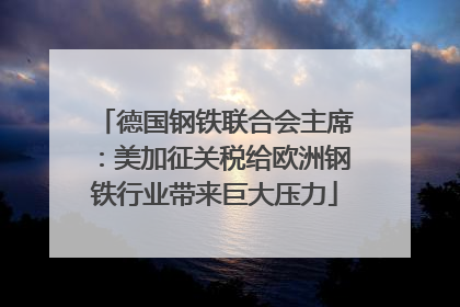 德国钢铁联合会主席：美加征关税给欧洲钢铁行业带来巨大压力