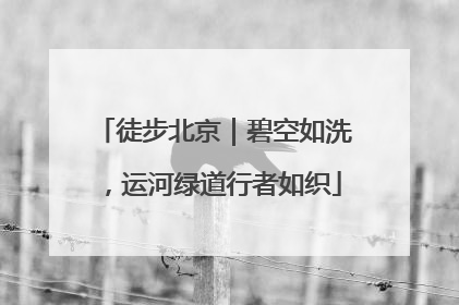 徒步北京｜碧空如洗，运河绿道行者如织