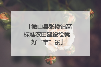 微山县张楼镇高标准农田建设绘就好“丰”景