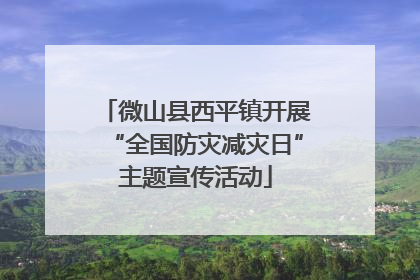 微山县西平镇开展“全国防灾减灾日”主题宣传活动