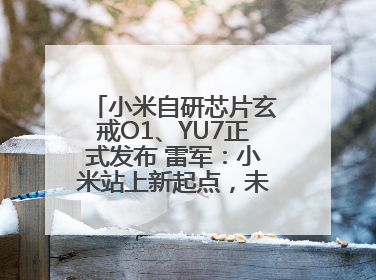 小米自研芯片玄戒O1、YU7正式发布 雷军：小米站上新起点，未来五年研发翻倍再投2000亿元