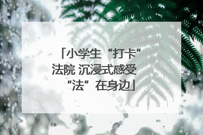 小学生“打卡”法院 沉浸式感受“法”在身边