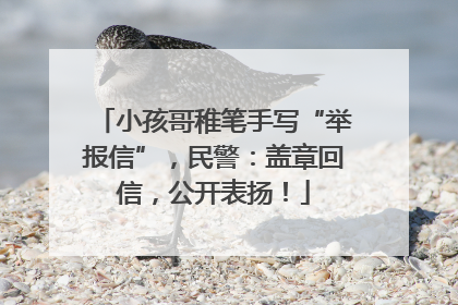 小孩哥稚笔手写“举报信”，民警：盖章回信，公开表扬！