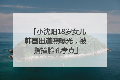 小沈阳18岁女儿韩国出道照曝光，被指撞脸孔孝真