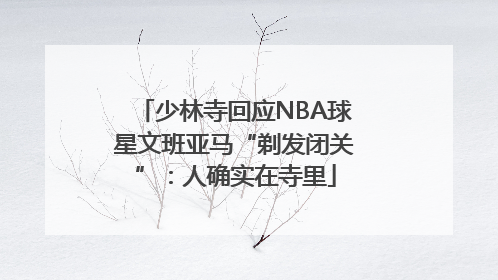 少林寺回应NBA球星文班亚马“剃发闭关”：人确实在寺里