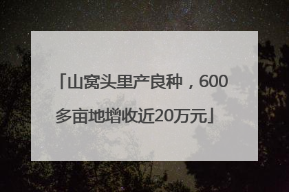 山窝头里产良种，600多亩地增收近20万元