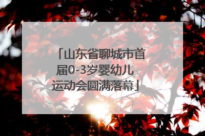 山东省聊城市首届0-3岁婴幼儿运动会圆满落幕