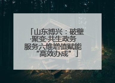 山东博兴：破壁·聚变·共生政务服务六维增值赋能“高效办成”