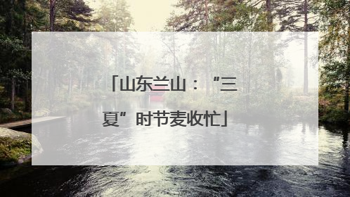 山东兰山：“三夏”时节麦收忙