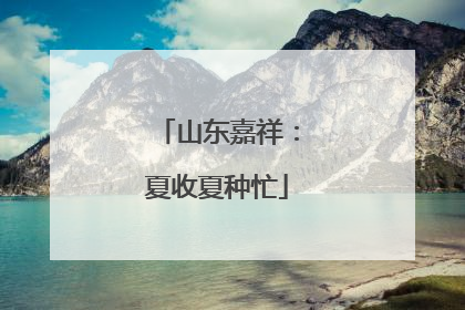 山东嘉祥：夏收夏种忙