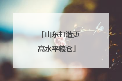 山东打造更高水平粮仓