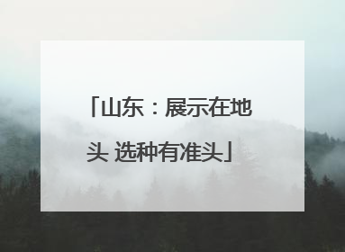 山东：展示在地头 选种有准头