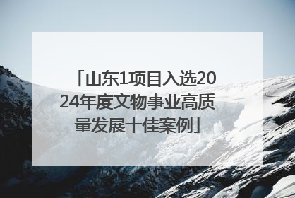 山东1项目入选2024年度文物事业高质量发展十佳案例