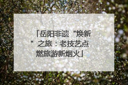岳阳非遗“焕新”之旅：老技艺点燃旅游新烟火