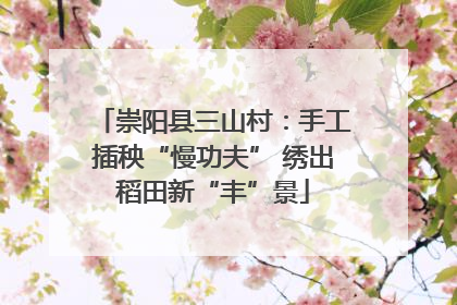 崇阳县三山村：手工插秧“慢功夫” 绣出稻田新“丰”景