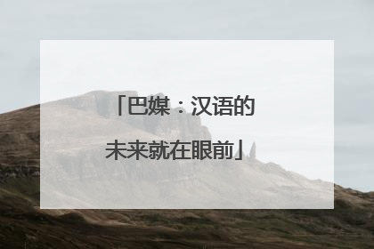 巴媒：汉语的未来就在眼前