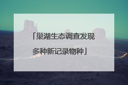 巢湖生态调查发现多种新记录物种