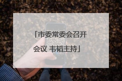 市委常委会召开会议 韦韬主持