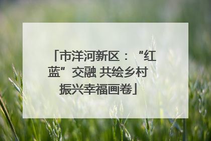 市洋河新区：“红蓝”交融 共绘乡村振兴幸福画卷