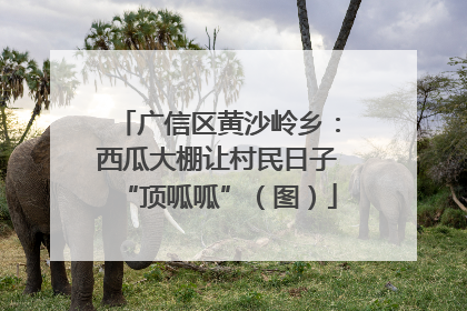 广信区黄沙岭乡：西瓜大棚让村民日子“顶呱呱”（图）