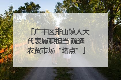 广丰区排山镇人大代表履职担当 疏通农贸市场“堵点”