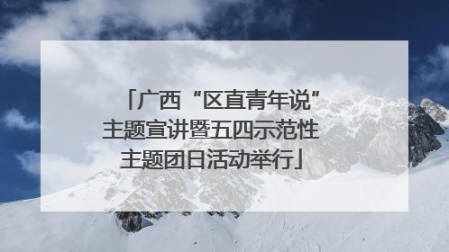 广西“区直青年说”主题宣讲暨五四示范性主题团日活动举行