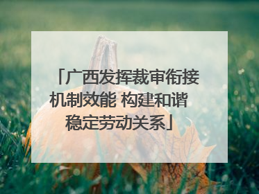 广西发挥裁审衔接机制效能 构建和谐稳定劳动关系