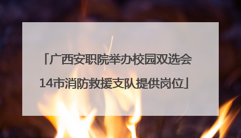 广西安职院举办校园双选会 14市消防救援支队提供岗位