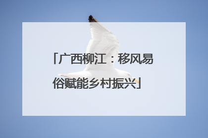广西柳江：移风易俗赋能乡村振兴